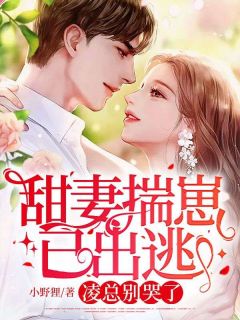 甜妻揣崽已出逃，凌总别哭了小说最新章节 柳禾凌司呈结局是什么