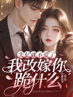 快手热推逼离时他狠成狼，记忆恢复后他悔断肠小说主角言晚傅砚在线阅读