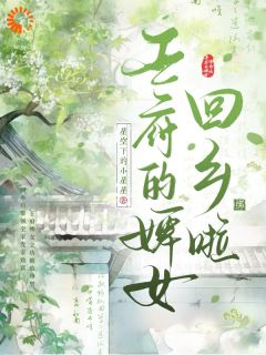 王府的婢女回乡啦免费阅读全文,主角周月桥玲儿小说