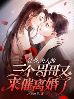 江爷，夫人的三个哥哥又来催离婚了小说(完结版)-沈晚晚江之衍在线阅读