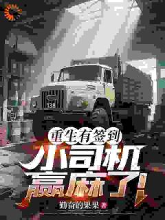 完整版重生有签到,小司机赢麻了!程平安周琳小说免费在线阅读