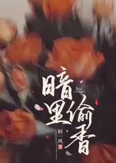 暗里偷香(全章节)-宋言姿沈亦驰在线阅读