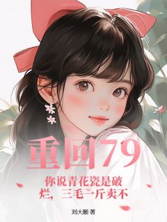 重回79:你说青花瓷是破烂,三毛一斤卖不赵晨李守义大结局在线阅读