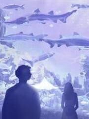 妻子为白月光盗走我的百亿商业机密全文目录-梁雨鸢金凡沈津言小说无弹窗阅读