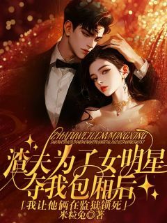 主角陈霄沈鸢薛问渠小说,渣夫为了女明星夺我包厢后,我让他俩在监狱锁死免费阅读全文