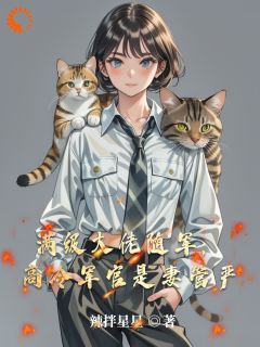 满级大佬随军，高冷军官是妻管严无弹窗在线阅读