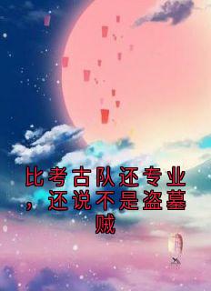 比考古队还专业，还说不是盗墓贼小说-秦风江白玉全篇阅读