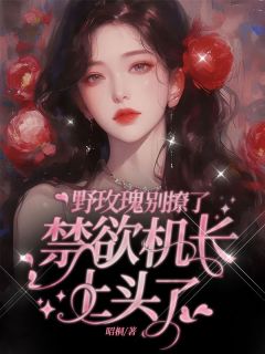 热门推荐野玫瑰别撩了,禁欲机长上头了by昭桐小说正版在线