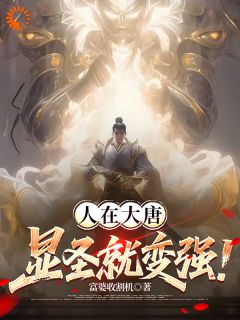 人在大唐，显圣就变强！完整版-李恪李世民在线全文阅读