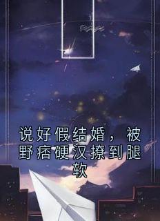 说好假结婚,被野痞硬汉撩到腿软小说安以南厉野免费阅读