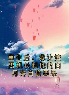 张雯晴林晓晓重生后，我让渣男机长和他的白月光自食恶果全文(张雯晴林晓晓)章节免费阅读