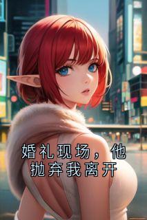 胡诗蕊梁佳森小说结局