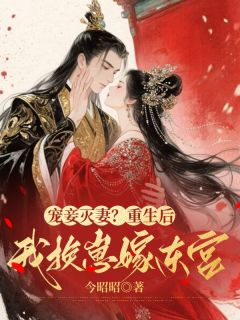 抖音爆款宠妾灭妻？重生后我换崽嫁东宫完整小说（全文阅读）