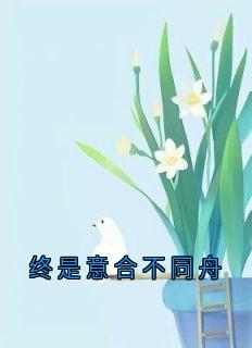 火爆终是意合不同舟小说,主角是苏澈陆婉在线阅读全文无删减