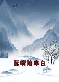 阮晴陆聿白最新章节免费阅读by小说家无广告小说