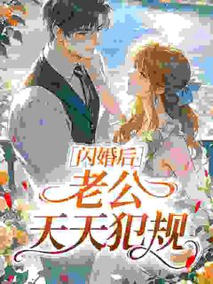 闪婚后，老公天天犯规快手热推应棠宗澈免费阅读