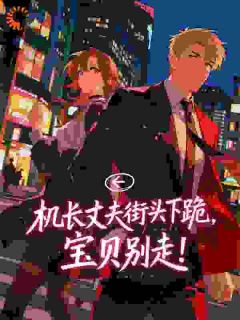 黎软秦不舟全集小说_机长丈夫街头下跪,宝贝别走!完结版阅读