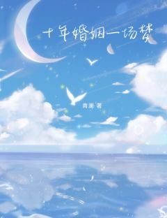 十年婚姻一场梦杨晓月章立陈薇小说完整在线阅读