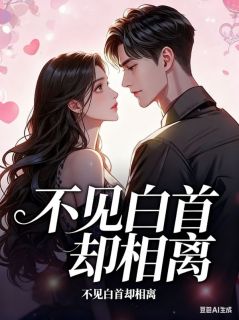 书荒必备夏冉贺斯年小说