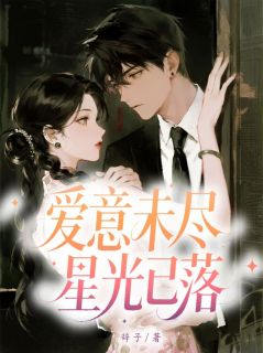 爱意未尽,星光已落章节全目录 苏琬时言全文免费阅读
