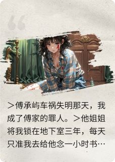 百度贴吧小说失明后他只听我念书，主角苏晚傅承屿全文免费