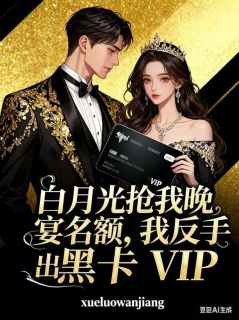 苏雨柔侯嘉许小说白月光抢我晚宴名额,我反手亮出黑卡VIP免费阅读