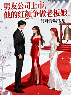 书荒必备男友公司上市，他的红颜争做老板娘全文章节阅读