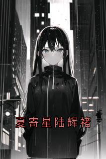 全网首发完整小说夏寄星陆辉褚主角夏寄星陆辉褚在线阅读