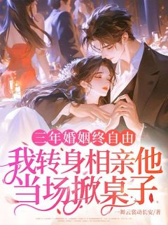 三年婚姻终自由，我转身相亲他当场掀桌子免费阅读全文，主角沈瑜陆兆言小说