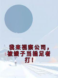 爆款小说由作者侠名所创作的我来视察公司，被嫂子当插足者打！在线阅读