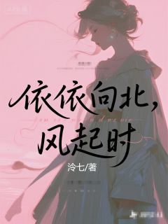 值得熬夜看完的依依向北,风起时小说阅读