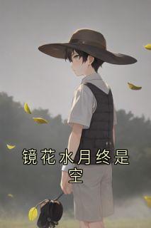 沈斯年沈妄川镜花水月终是空完结版小说全文免费阅读