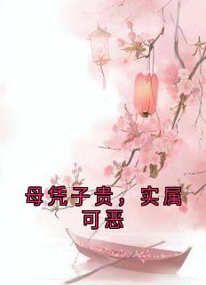 母凭子贵,实属可恶(神秘人小说)小说最新章节