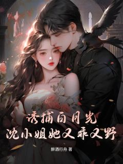 快手诱捕白月光,沈小姐她又乖又野小说全本章节大结局