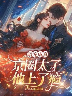 全网首发完整小说暗宠成真,京圈太子他上了瘾主角宋安璃周时淮在线阅读