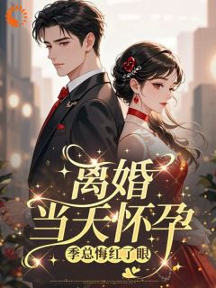 离婚当天怀孕,季总悔红了眼(宁溪季景行)精彩小说目录阅读