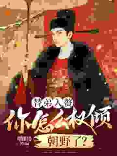 抖音爆款小说替弟入赘，你怎么权倾朝野了？叶少安陆昭颜免费txt全文阅读