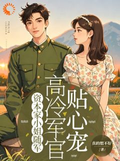 资本家小姐随军高冷军官贴心宠沈若婷吴高峰全章节在线阅读