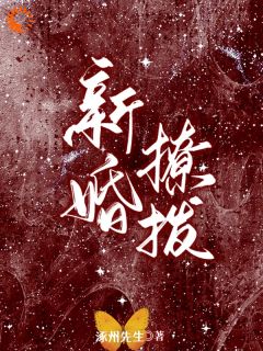 抖音热推小说新婚撩拨全文在线阅读