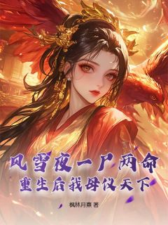 书荒必备风雪夜一尸两命，重生后我母仪天下全文章节阅读-欧迈阅读网