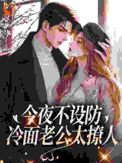 主角是上官芷宋宴的宋总，太太又又又要离婚了抖音热门小说