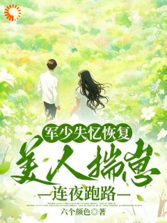 军少失忆恢复,美人揣崽连夜跑路精彩章节-军少失忆恢复,美人揣崽连夜跑路免费阅读全文