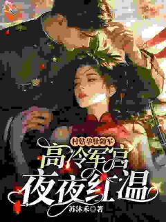 老天送我个帅气大佬,我先亲为敬免费阅读全文,主角傅诚叶霜小说完整版最新章节