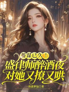 全章节小说蓄谋已久!盛律师醉酒夜对她又撩又哄一块菠萝包最新阅读