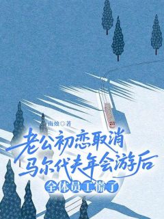 老公初恋取消马尔代夫年会游后，全体员工慌了（全本）江辰许薇宋烨霖完整章节列表免费阅读