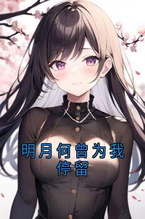 老书虫书荒推荐明月何曾为我停留txt小说阅读