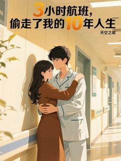 3小时航班，偷走了我的10年人生全本小说（3小时航班，偷走了我的10年人生）全文阅读