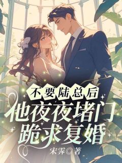 不要陆总后，他夜夜堵门跪求复婚(温知妤陆湛)最新章节