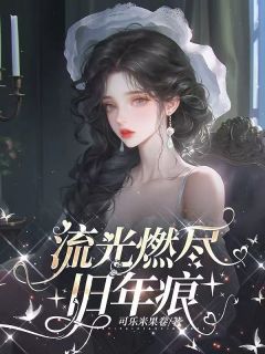 良心推荐流光燃尽旧年痕小说试读-欧迈阅读网