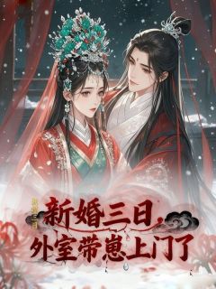 全章节小说新婚三日，外室带崽上门了老佳老加最新阅读